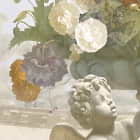 Miniatura fototapety Üppige Blumen und Brunnen fragment # 1