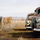 Miniatura fototapety Alte Autos