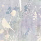 Miniatura fototapety Wildblumen zeichnen fragment # 1
