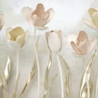 Miniatura fototapety Anmutige Tulpen