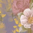 Miniatura fototapety Bezaubernde Gartenblumen fragment # 1