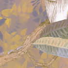 Miniatura fototapety Bezaubernde Gartenblumen fragment #2