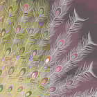 Miniatura fototapety Pfau und blühende Bäume fragment # 1