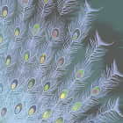 Miniatura fototapety Geist der Blüte fragment # 1