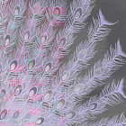 Miniatura fototapety Blüte und Pfau fragment # 1