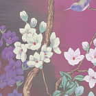 Miniatura fototapety Blüte und Pfau fragment #2