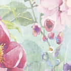 Miniatura fototapety Frühlingswildblumen fragment # 1