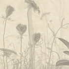 Miniatura fototapety Stiller Wald fragment #2