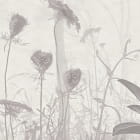 Miniatura fototapety Grauer Wald fragment #2