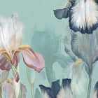 Miniatura fototapety Zarte Iris fragment # 1