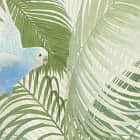 Miniatura fototapety Vögel im Regenwald fragment # 1