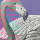 Miniatura fototapety Rosa Flamingos auf dem See fragment # 1