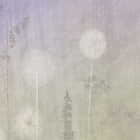 Miniatura fototapety Löwenzahnfeld-Aquarell fragment #2