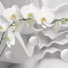 Miniatura fototapety Weiße Orchidee und Abstraktion