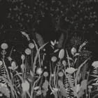Miniatura fototapety Schwarze und weiße Wildblumen