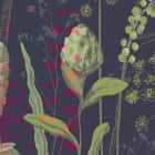 Miniatura fototapety Bescheidene Wildblumen fragment # 1