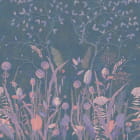 Miniatura fototapety Wildblumen im Morgengrauen