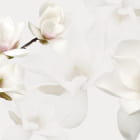 Miniatura fototapety Weiße Magnolien