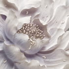 Miniatura fototapety Luxuriöse Blume