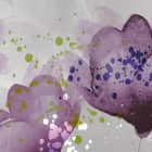 Miniatura fototapety Leuchtend violette Blüten fragment # 1