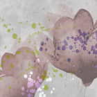 Miniatura fototapety Blassrosa Blüten fragment # 1