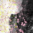 Miniatura fototapety Dunkler Wellenmarmor fragment # 1