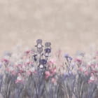 Miniatura fototapety Blühende kleine Blumen