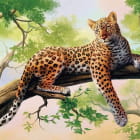 Miniatura fototapety Gefleckter Leopard auf einem Baum