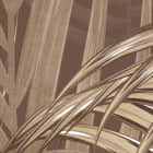 Miniatura fototapety Hellbraune Blätter fragment # 1