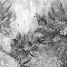 Miniatura fototapety Graue Blumen