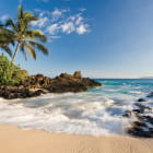 Miniatura fototapety Tropischer Strand