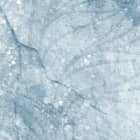 Miniatura fototapety Hellblaue Blüten von oben fragment #2