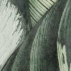 Miniatura fototapety Tropische Pflanzen fragment #2