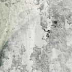 Miniatura fototapety Blätter auf einer Betonwand fragment #2