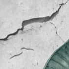 Miniatura fototapety Tropen auf einer Betonwand fragment #2