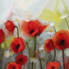 Miniatura fototapety Rote Mohnblumen-Aquarell