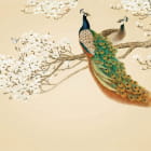 Miniatura fototapety Pfauen und blühende Magnolien