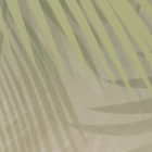 Miniatura fototapety Breite Palmblätter fragment # 1