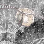 Miniatura fototapety Heißluftballons fragment #2