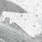 Miniatura fototapety Doppeldecker am Himmel fragment #2