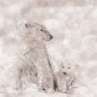 Miniatura fototapety Bären-Aquarell