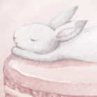 Miniatura fototapety Hasen fragment #2
