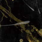 Miniatura fototapety Goldener abstrakter Löwenzahn fragment #2