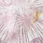 Miniatura fototapety Rosa Löwenzahn fragment # 1