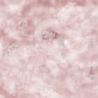 Miniatura fototapety Fische auf rosa Hintergrund