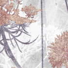 Miniatura fototapety Braune Wildblumen fragment # 1