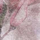 Miniatura fototapety Blühende Magnolienblüten fragment #2