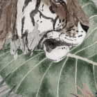 Miniatura fototapety Tiger im Dschungel fragment # 1