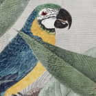 Miniatura fototapety Papageien in den Tropen fragment # 1
