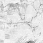 Miniatura fototapety Granatapfelzeichnung fragment #2